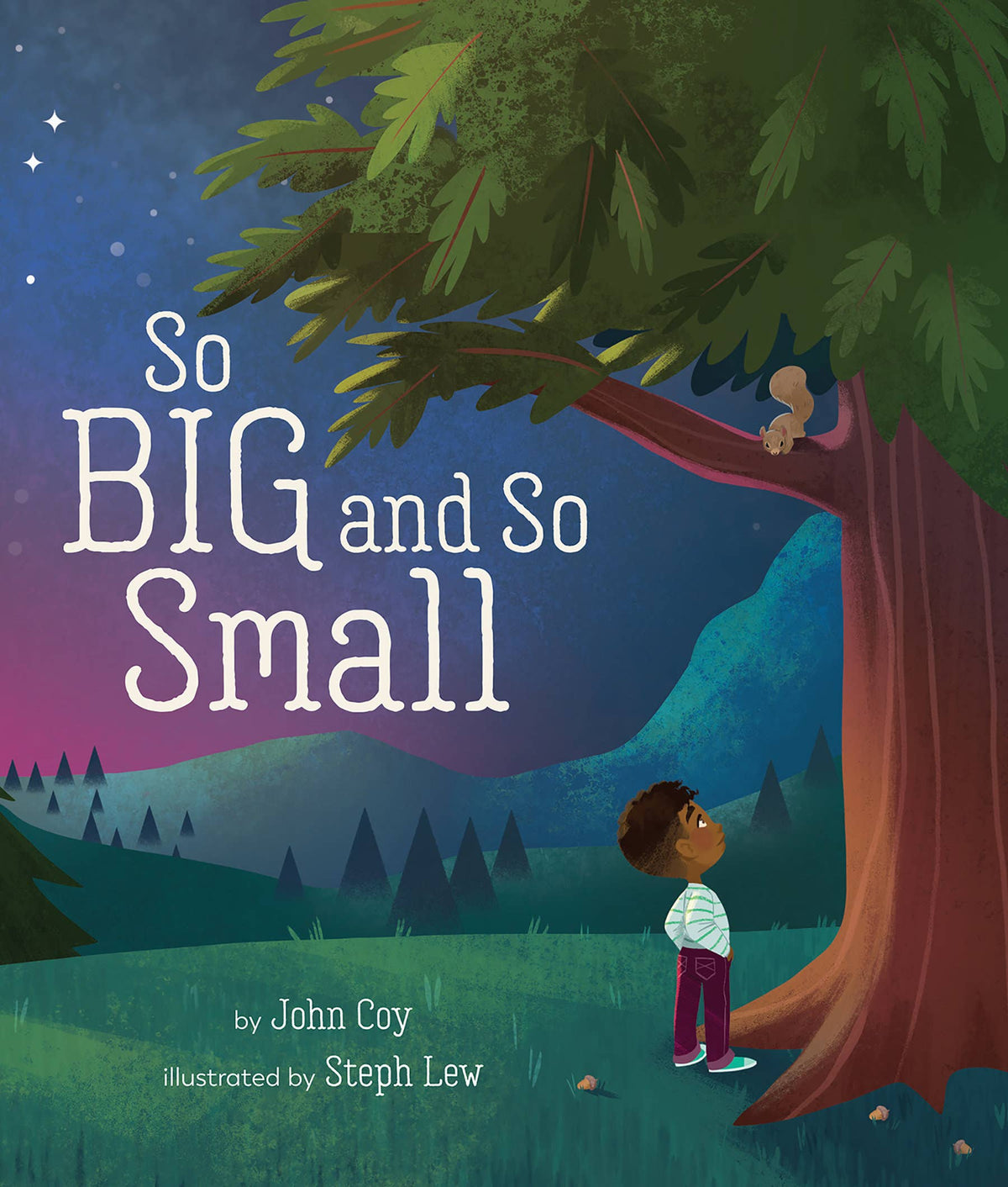 So Big And So Small Picture Book by: John Coy