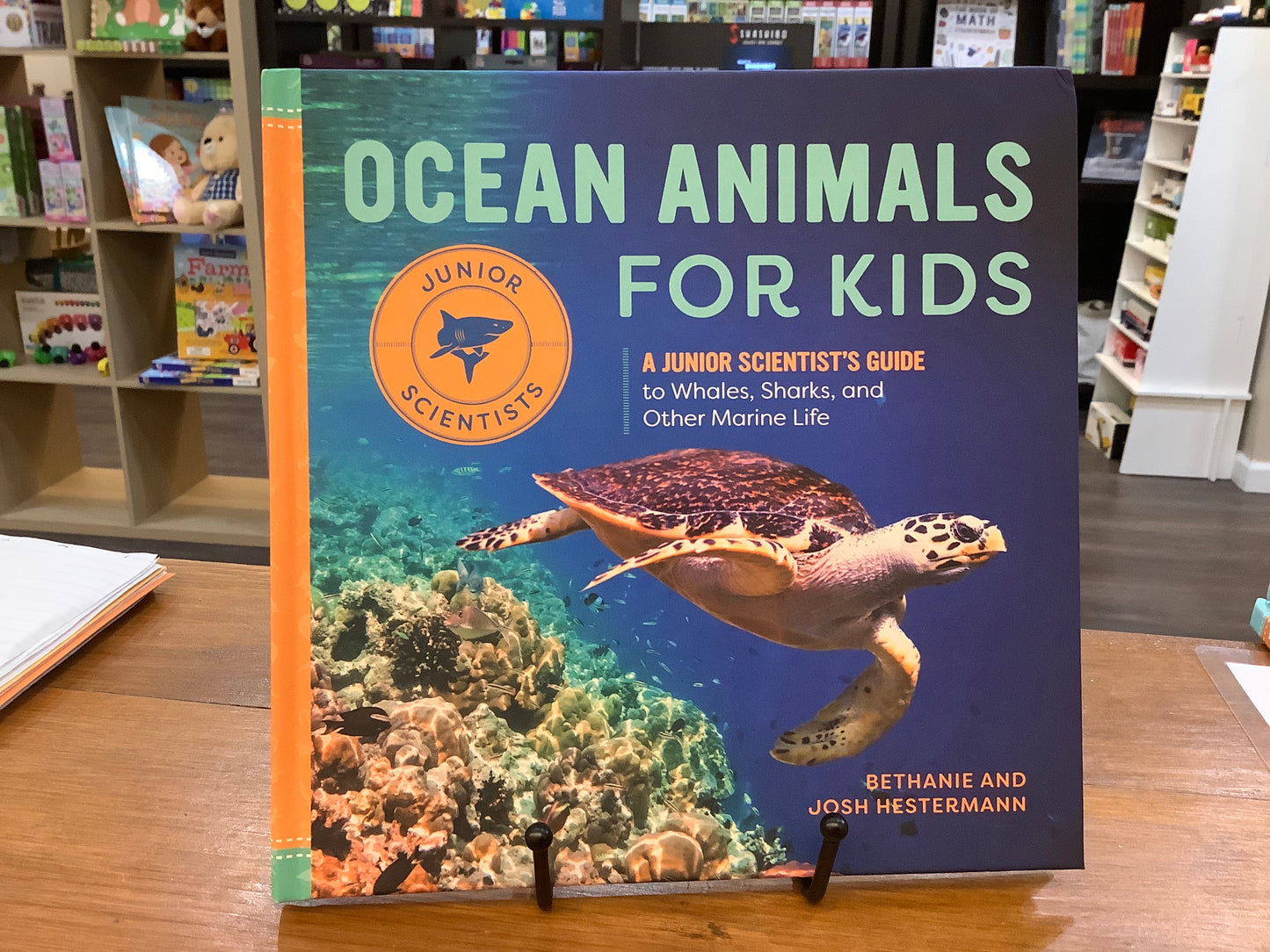 Ocean Animals for Kids
