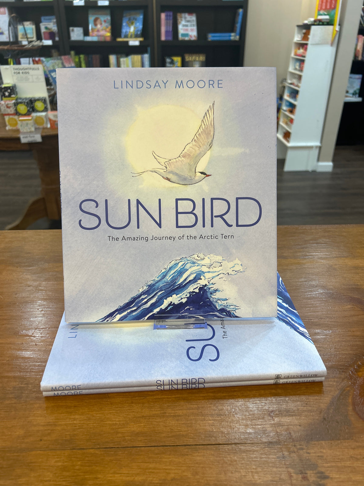 Sun Bird by: Lindsay Moore