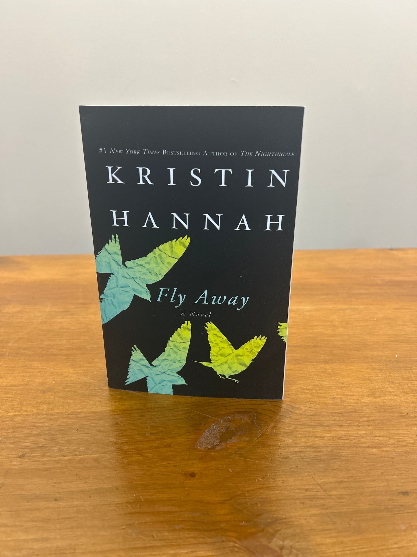 FLY AWAY by: Kristin Hannah