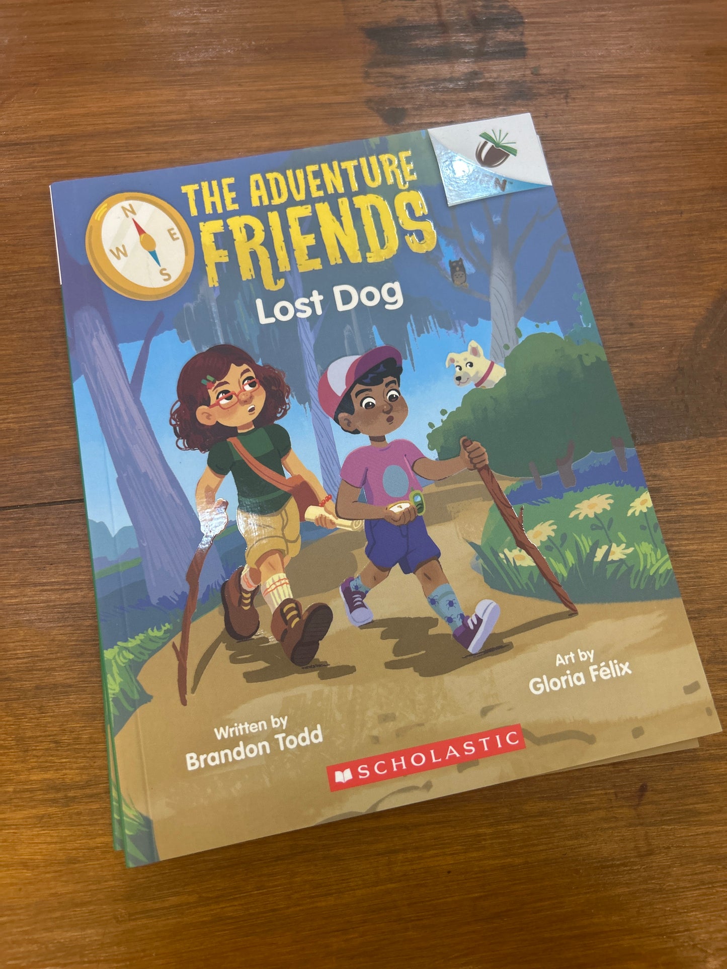 ADVENTURE FRIENDS, THE #2: LOST DOG by: Brandon Todd