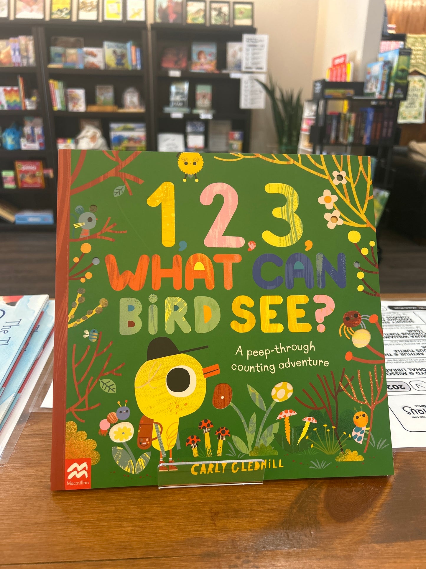 1,2,3 What Can Bird See? a peep through counting adventure