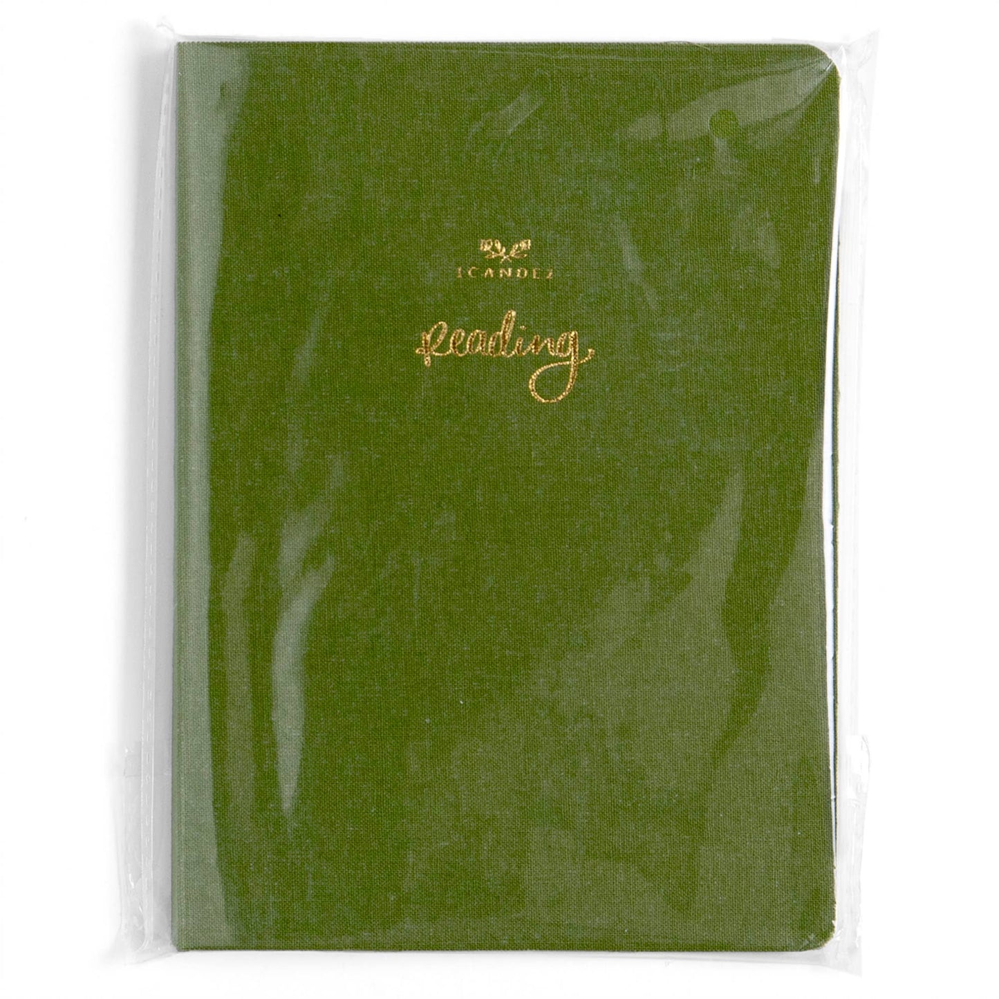Reading Guided Journal