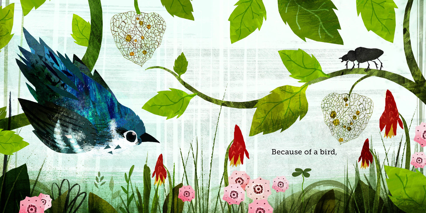 Because of an Acorn by: Lola M. Schaefer