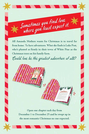 Secret Santa Setup, The: Countdown Novel