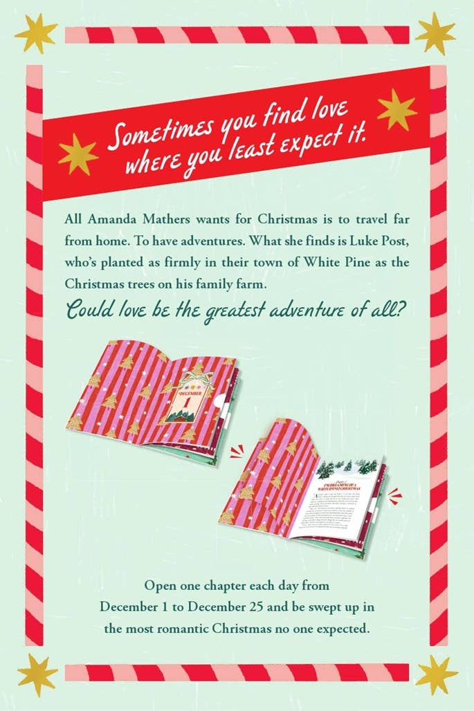 Secret Santa Setup, The: Countdown Novel