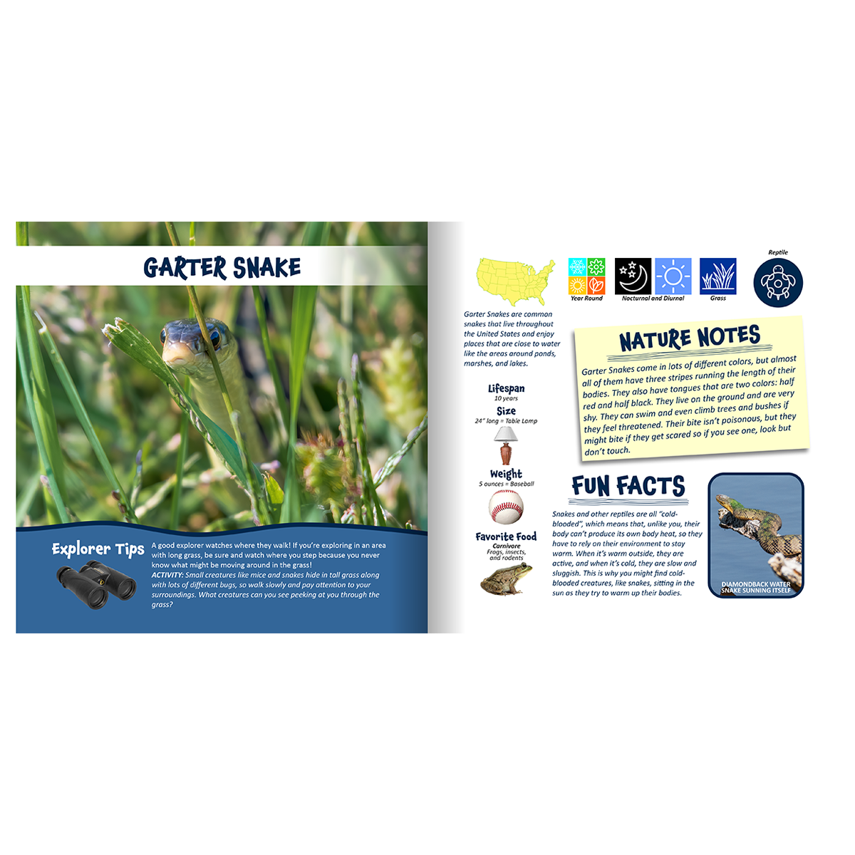 Nature Explorer Discovery Kit, Backyard Critters & Creatures