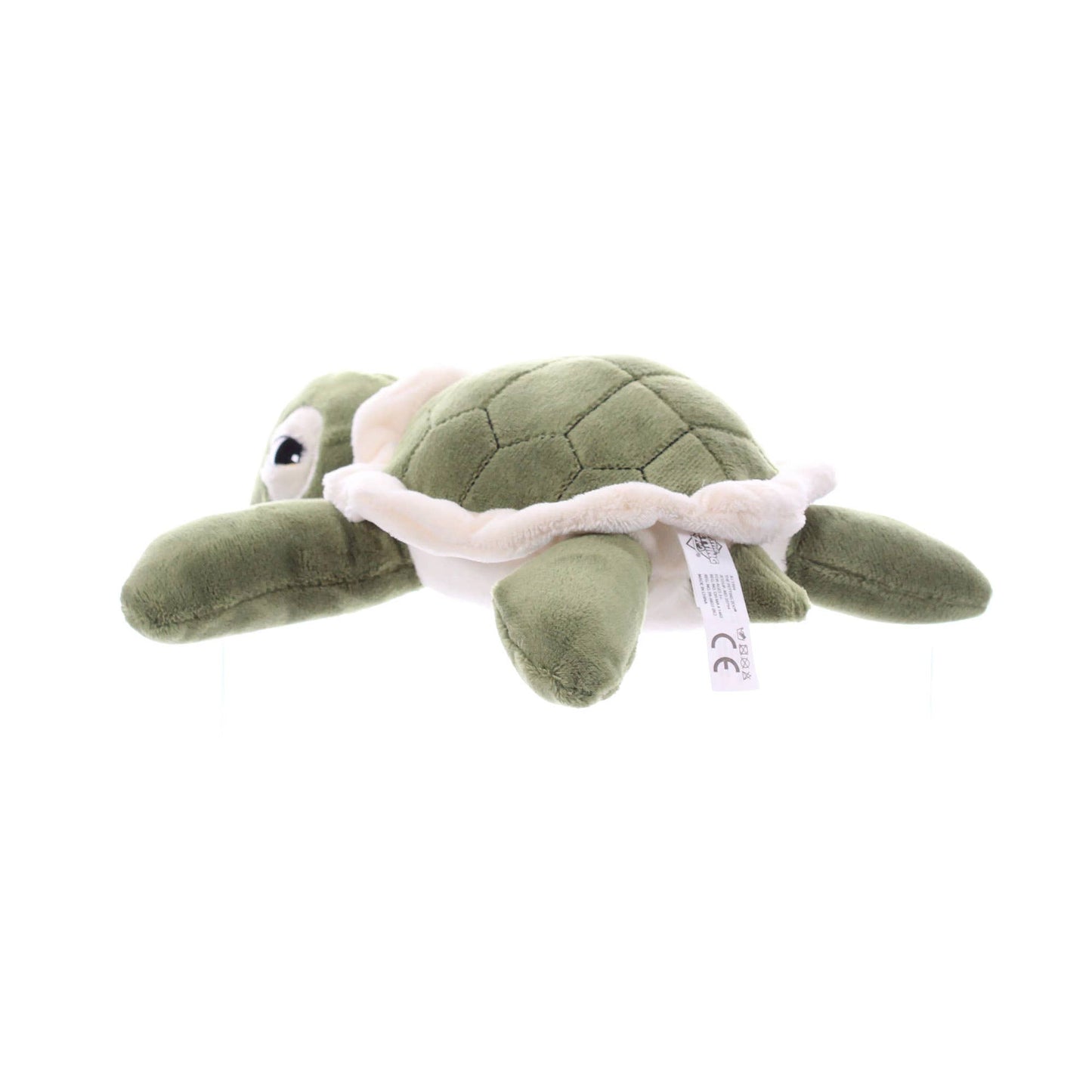 9" (20cm) Hatchling Sea Turtle