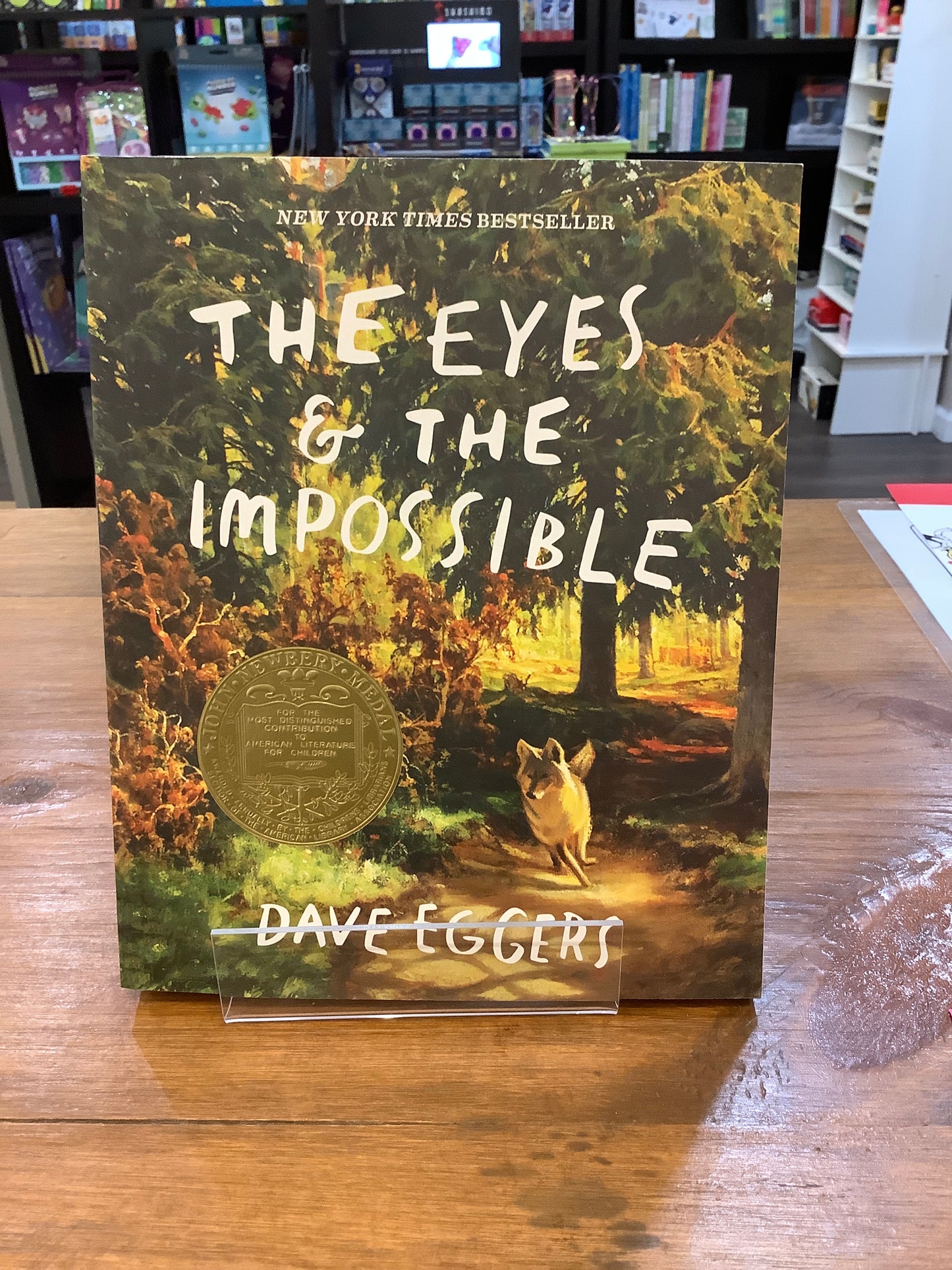 THE EYES & THE IMPOSSIBLE BY: DAVE EGGERS
