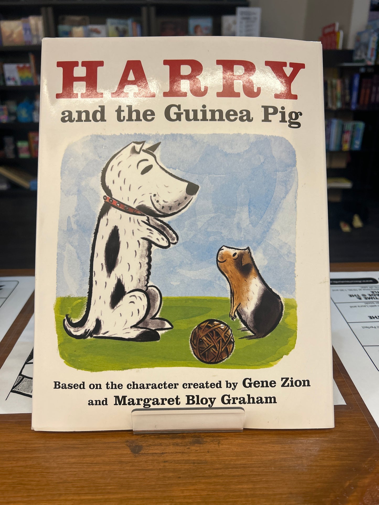 Harry and the Guinea Pig