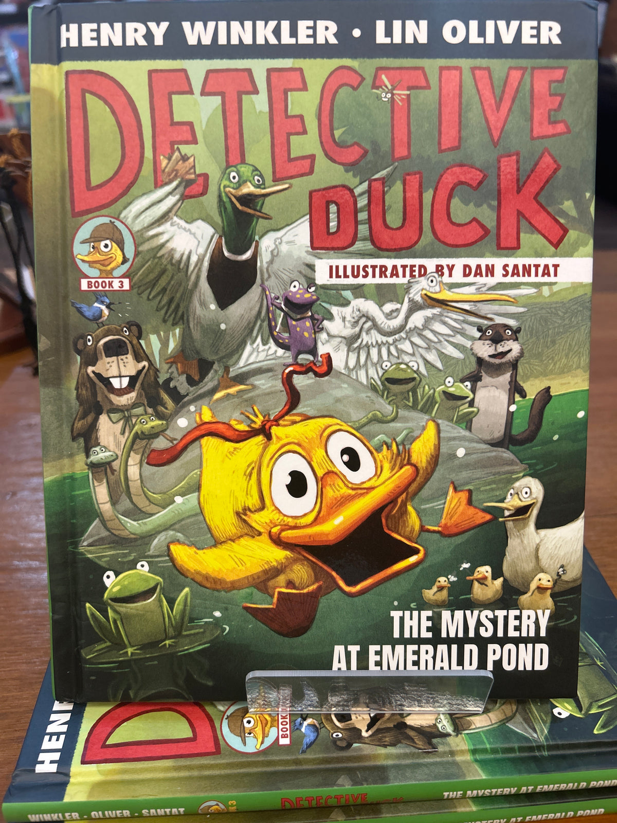 Detective Duck: The Mystery at Emerald Pond - Book 3