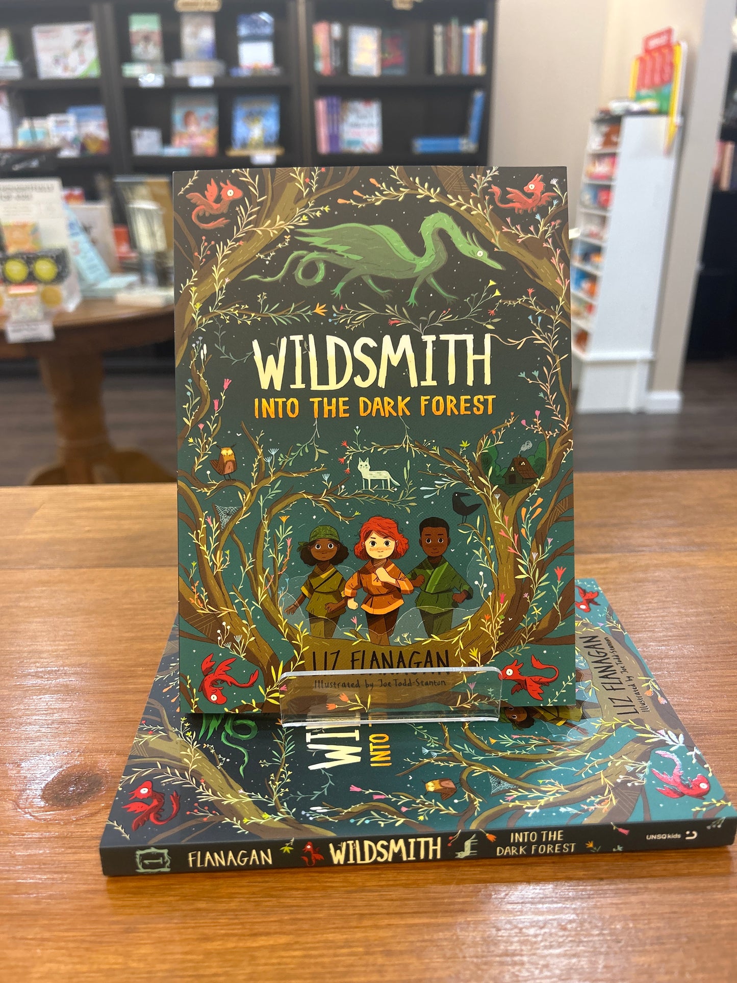 Wildsmith: Into the Dark Forest by: Liz Flanagan