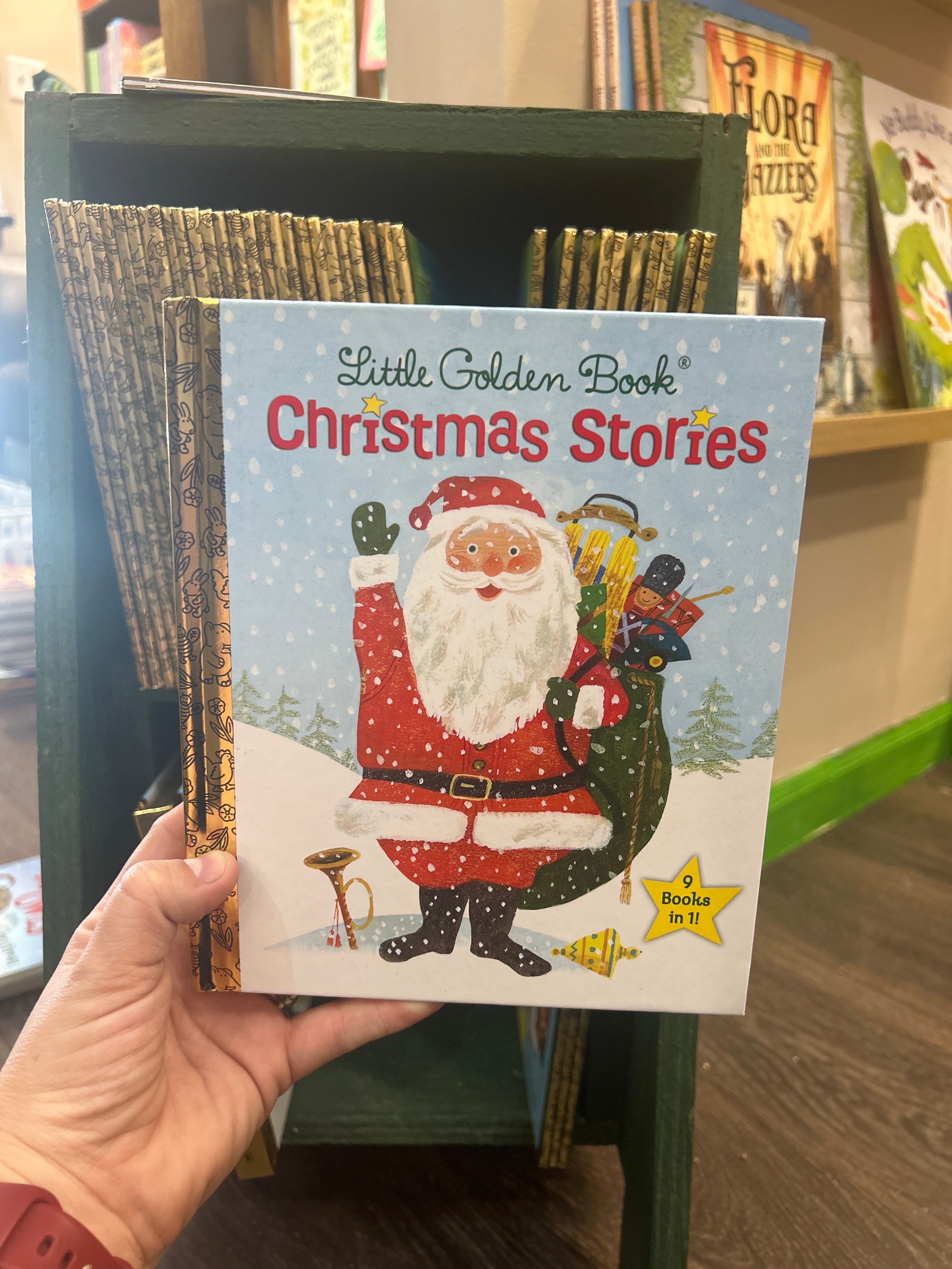 Little Golden Book Christmas Stories Curious Turtle