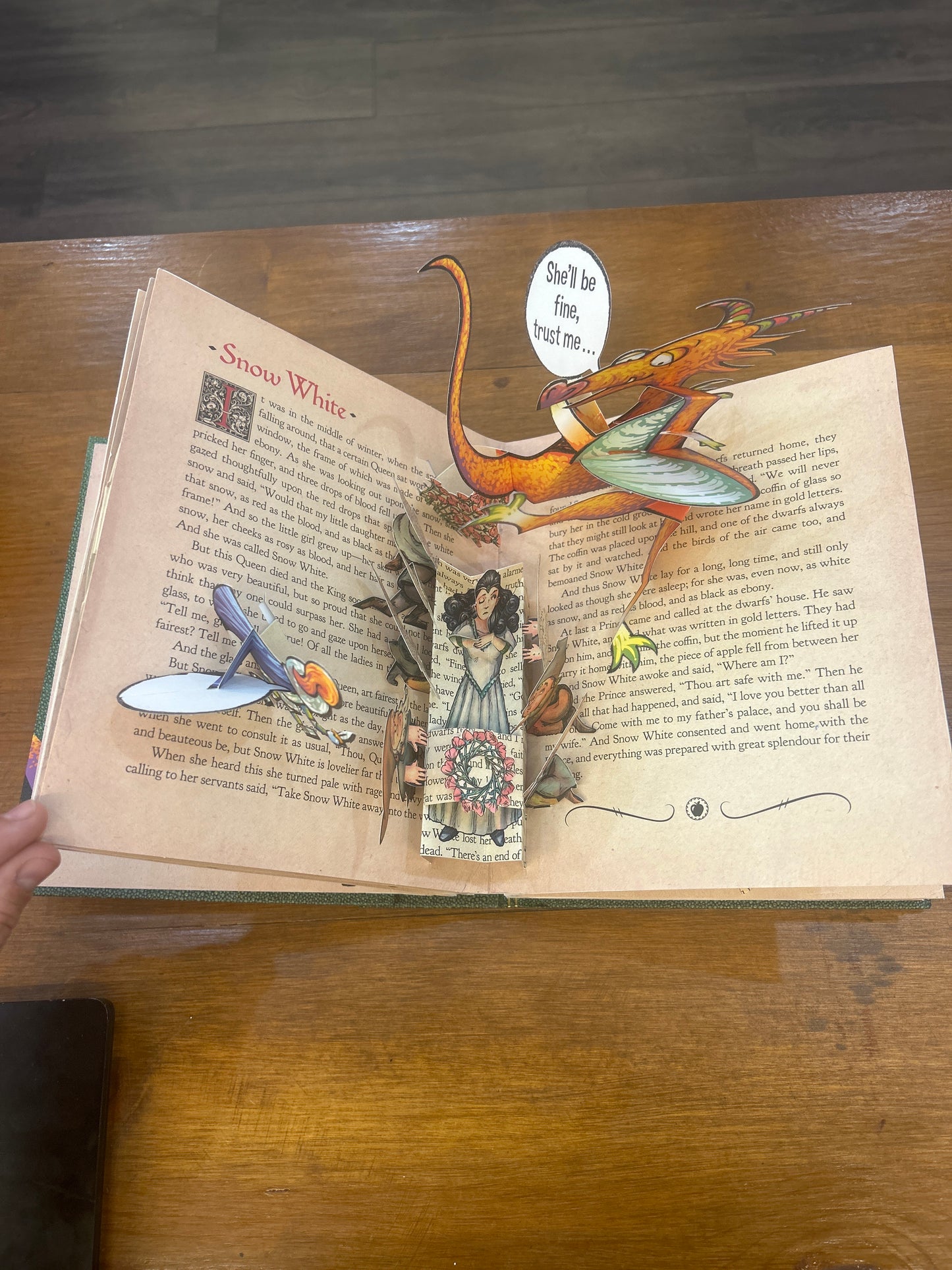 The Dragon & the Knight a Pop Up Misadventure by: Robert Sabuda