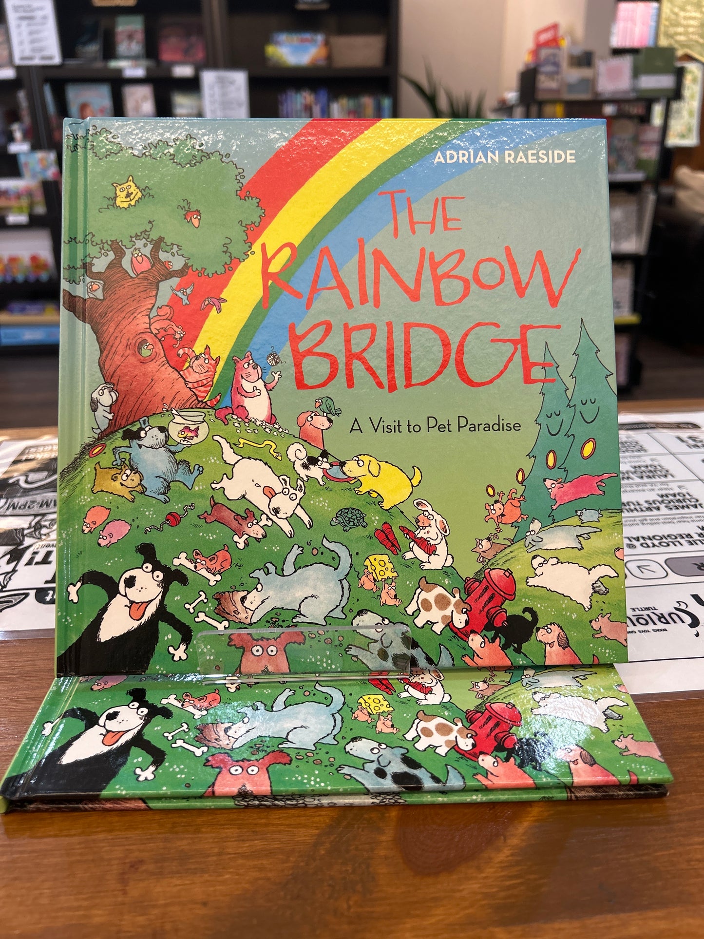 The Rainbow Bridge by: Adrian Raeside