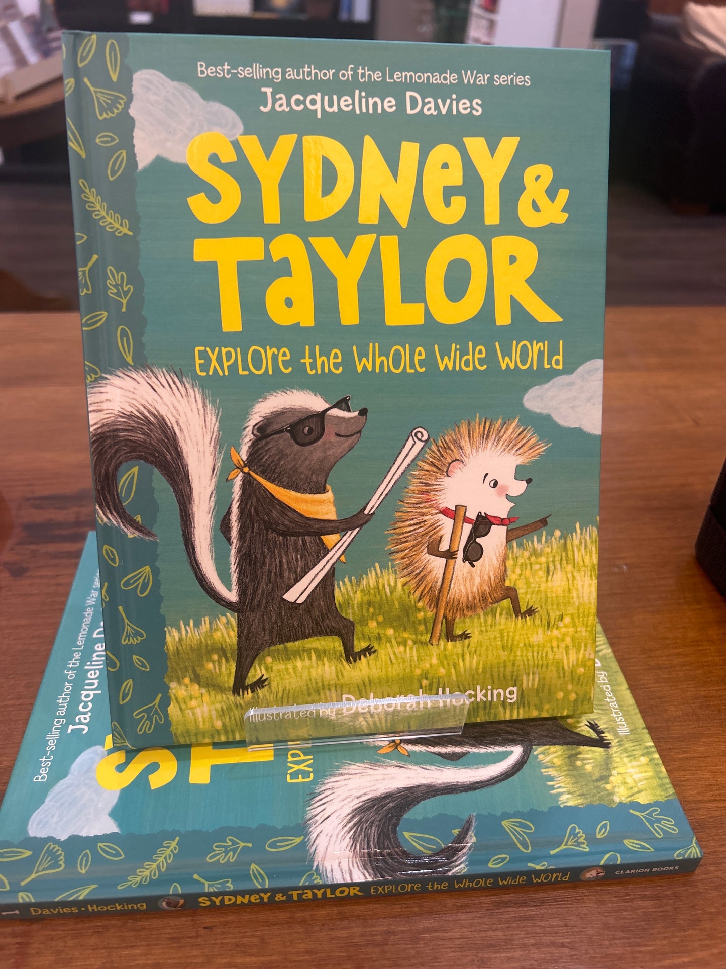 Sydney and Taylor Explore the Whole Wide World by: Jacqueline Davies