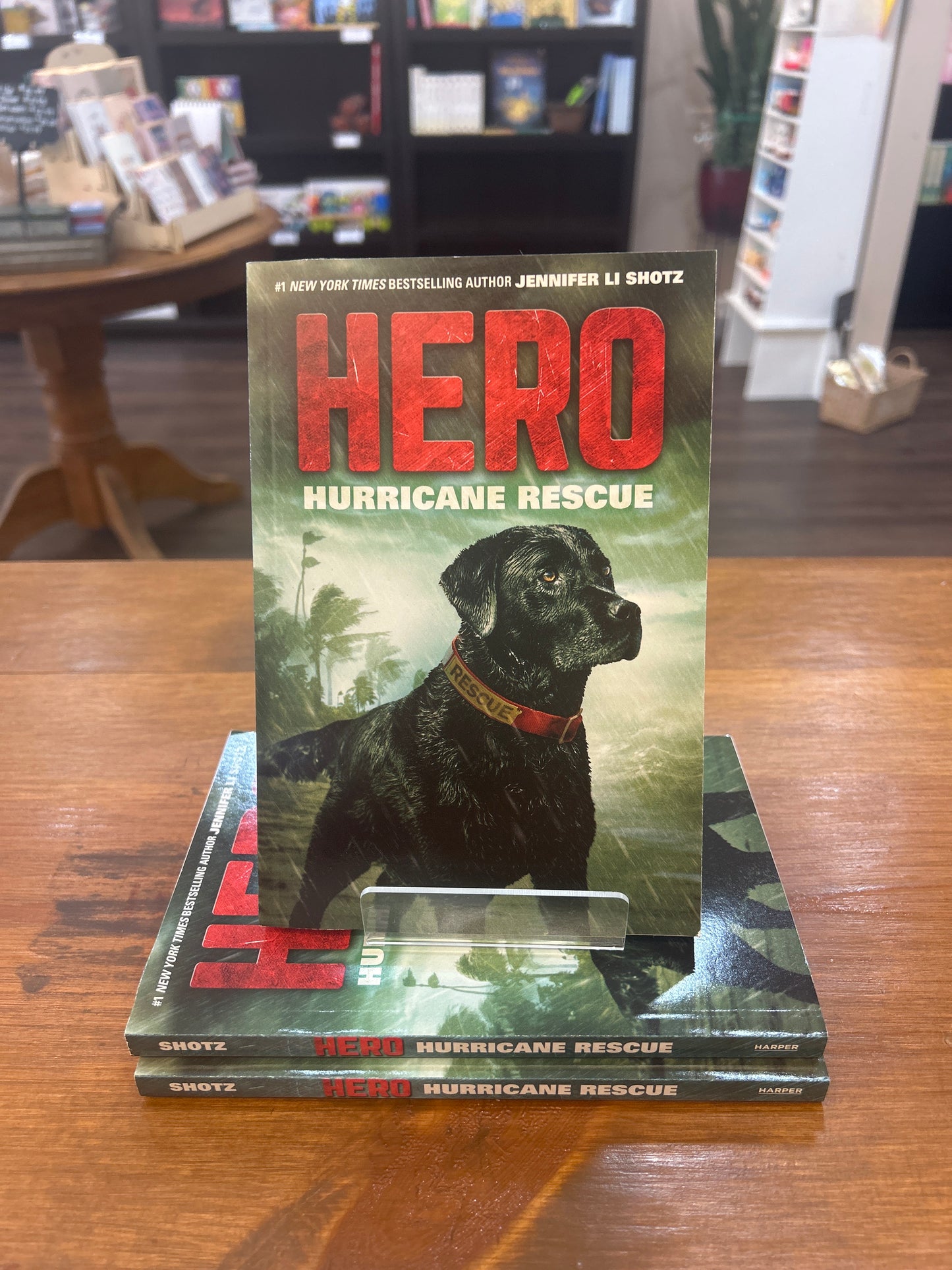 Hero: Hurricane Rescue