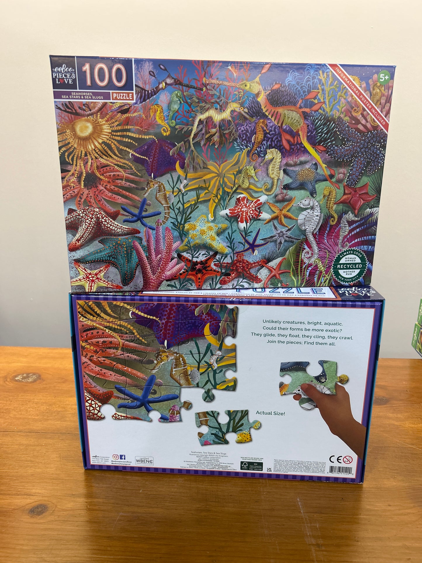 100 Piece Puzzle, Seahorses Sea Stars & Sea Slugs