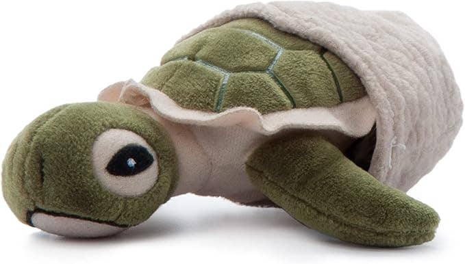 5" (12cm) Hatchling Baby Turtle