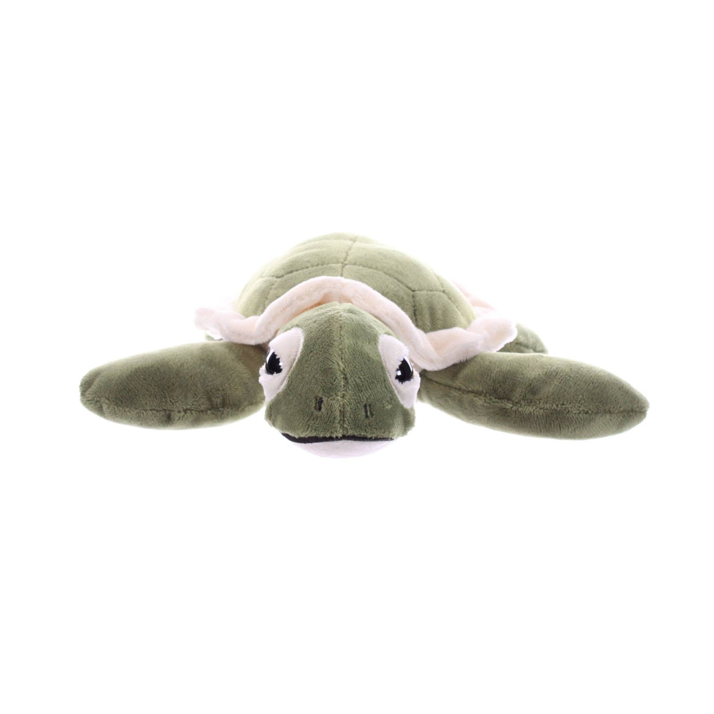 9" (20cm) Hatchling Sea Turtle