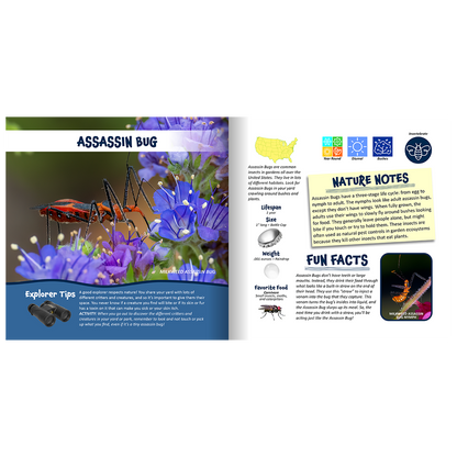 Nature Explorer Discovery Kit, Backyard Critters & Creatures