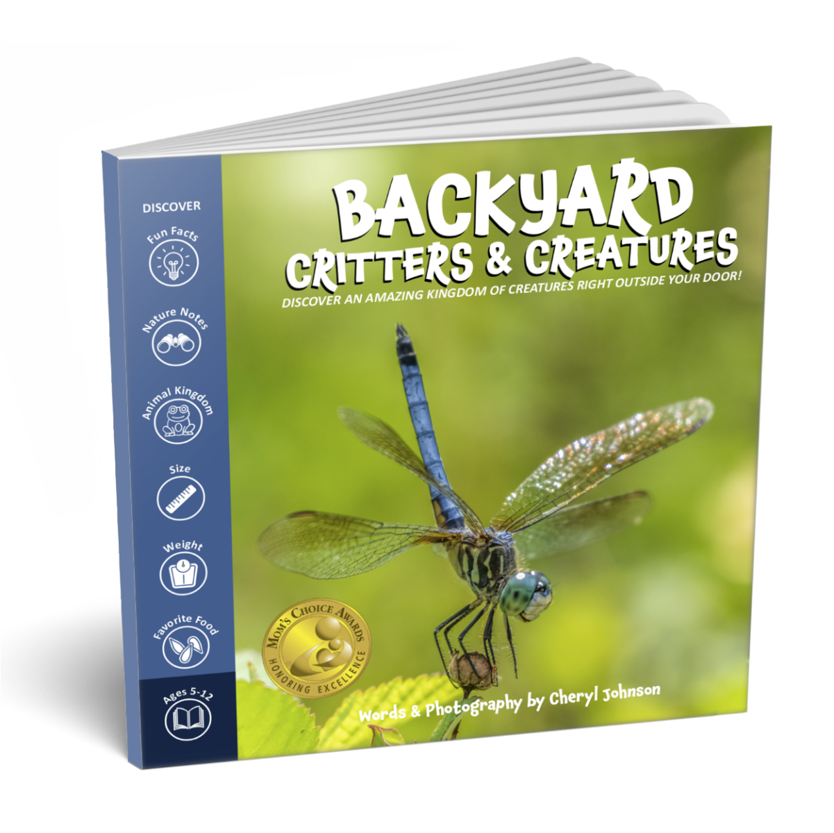 Nature Explorer Discovery Kit, Backyard Critters & Creatures