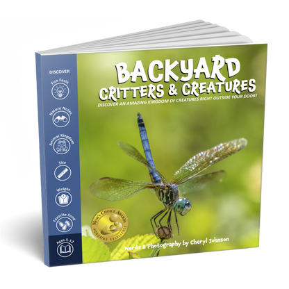Nature Explorer Discovery Kit, Backyard Critters & Creatures