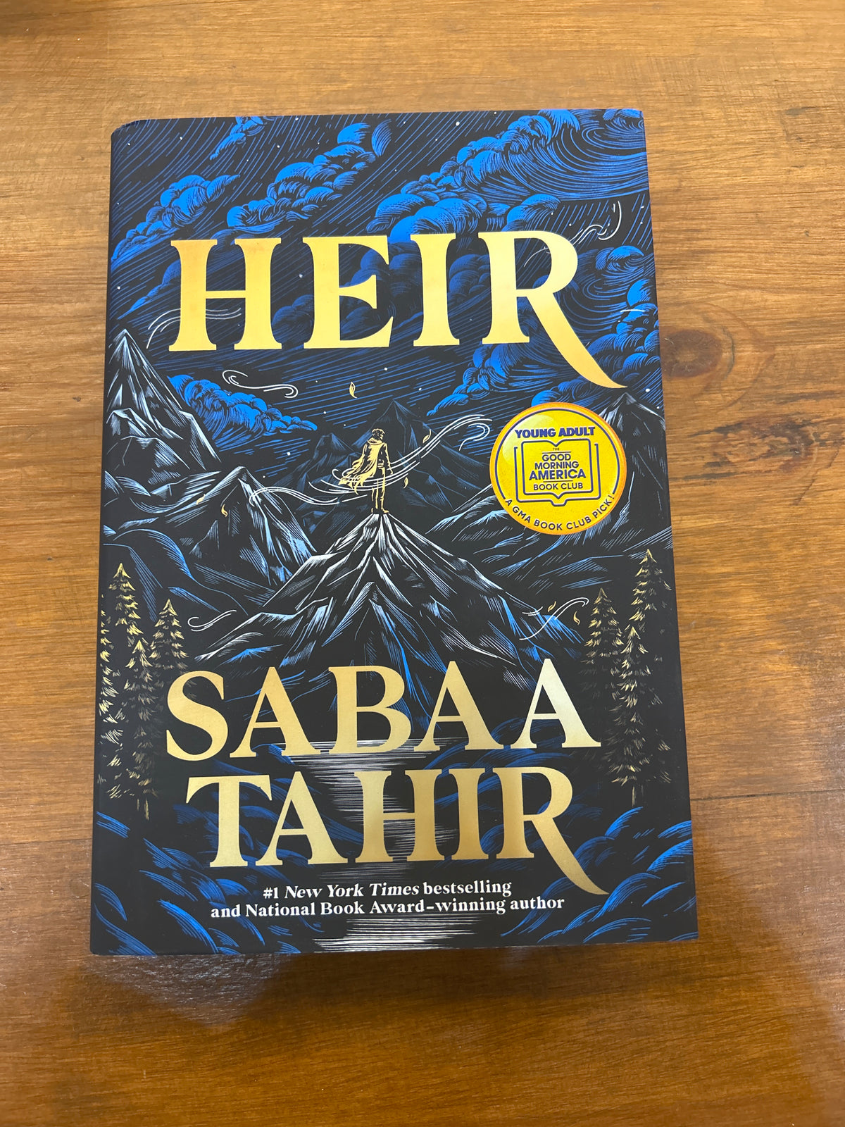 Heir (A Good Morning America YA Book Club Pick)