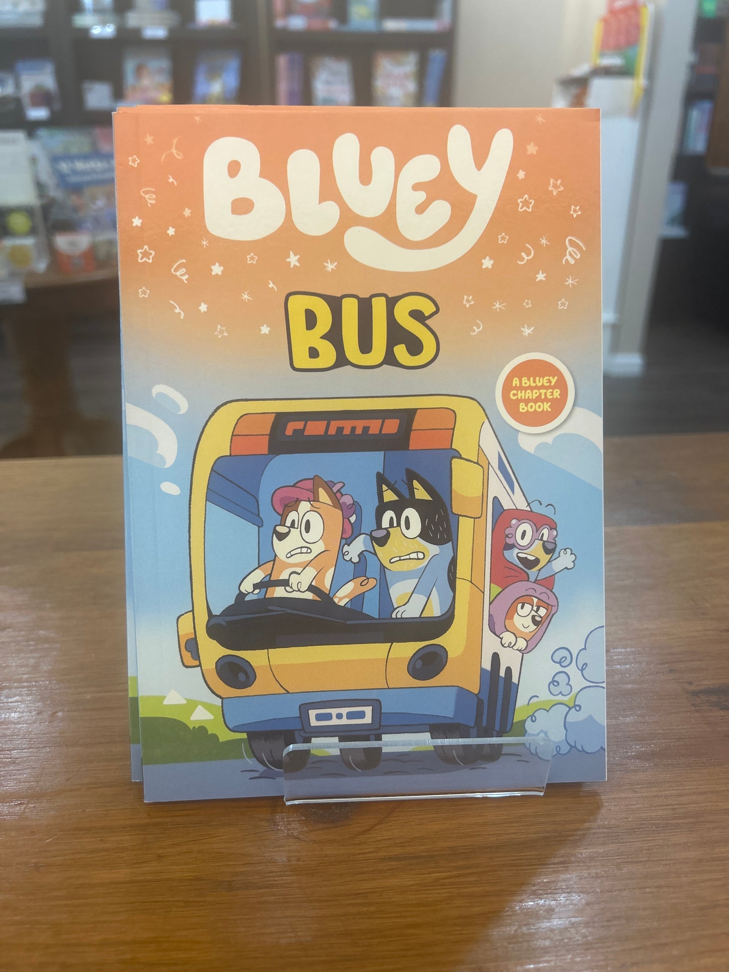 Bluey: Bus - a chapter book