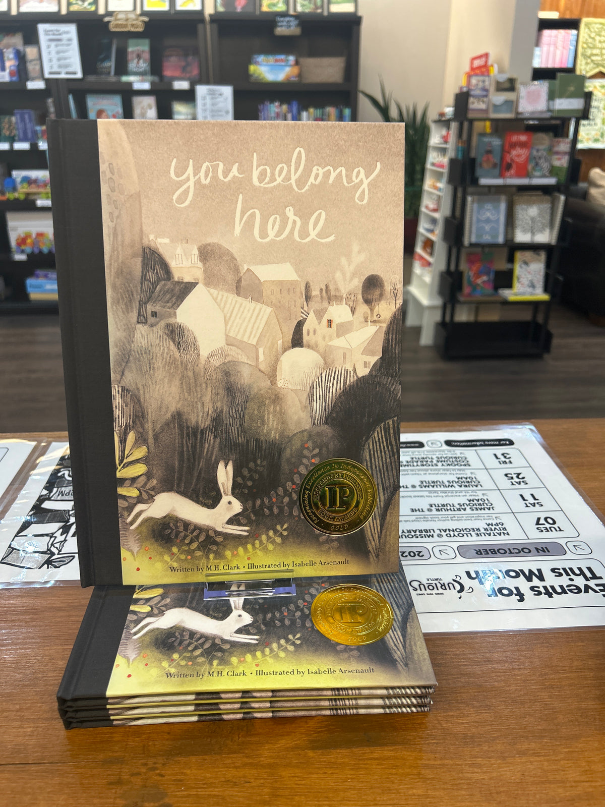Book - You Belong Here