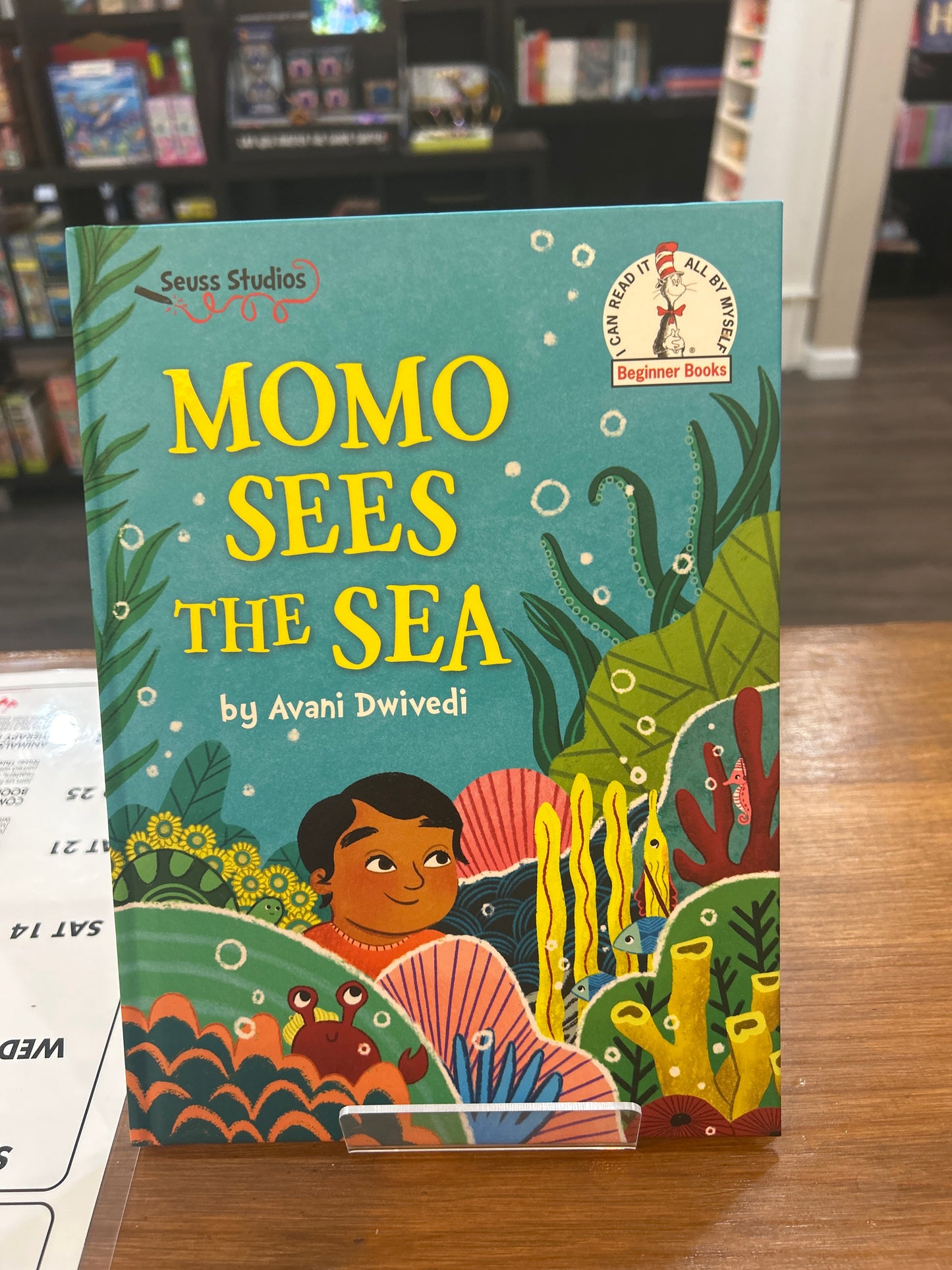 MoMo Sees the Sea by: Dr. Seuss Studios