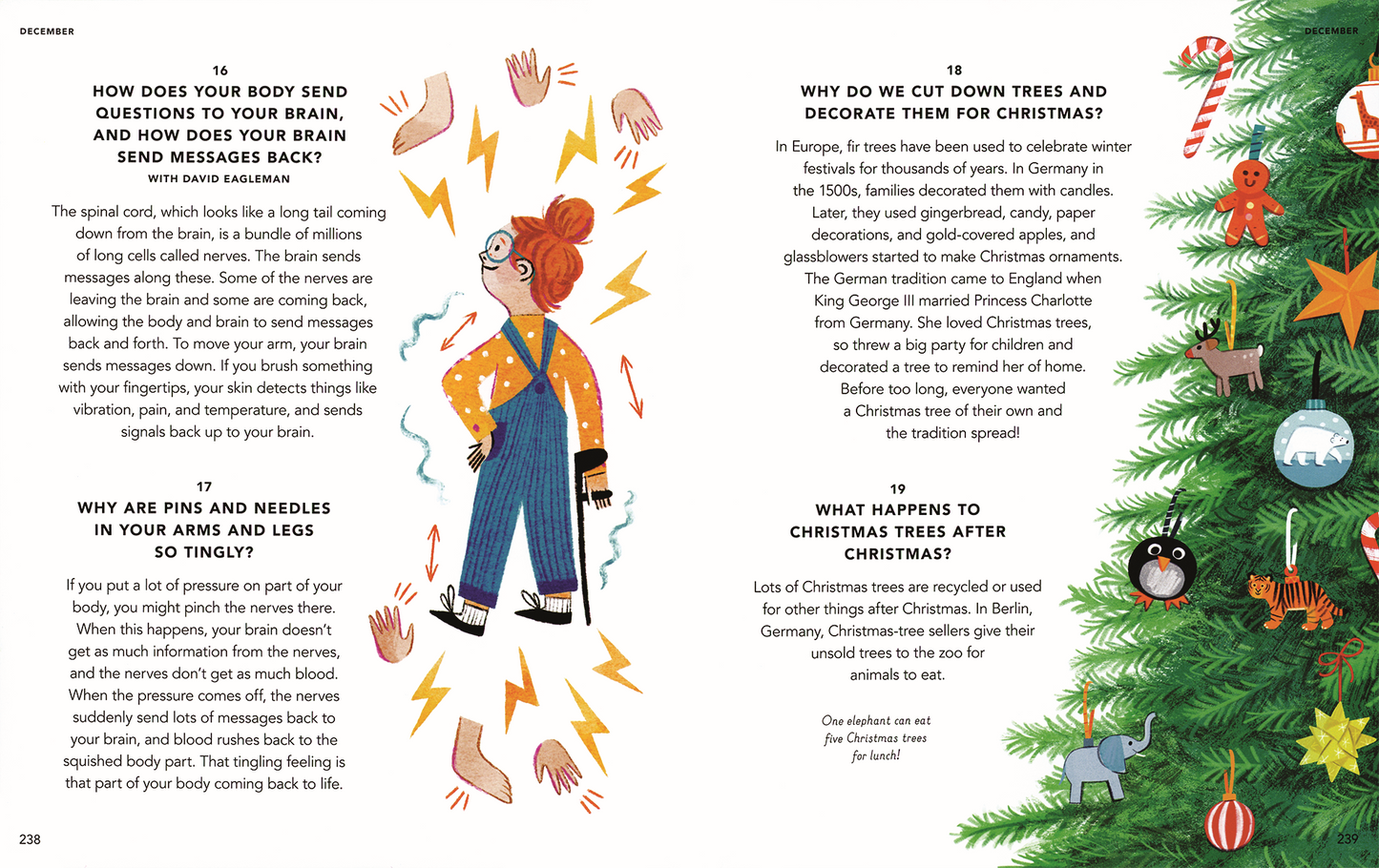 Everything Under the Sun