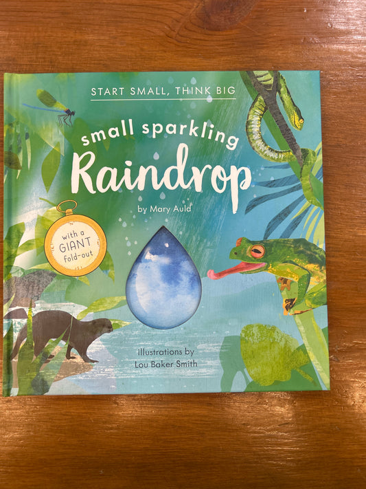 Small Sparkling Raindrop