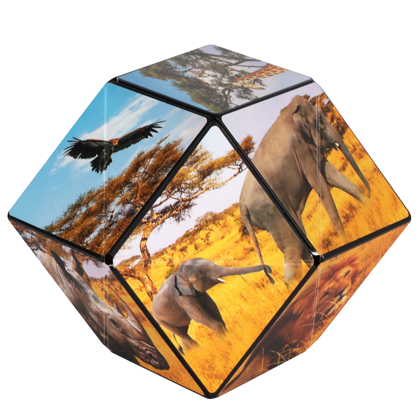 Shashibo Savanna Magnetic Puzzle Cube STEM STEAM MESH