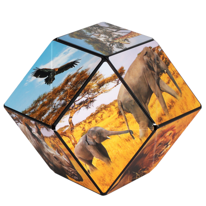 Shashibo Savanna Magnetic Puzzle Cube STEM STEAM MESH
