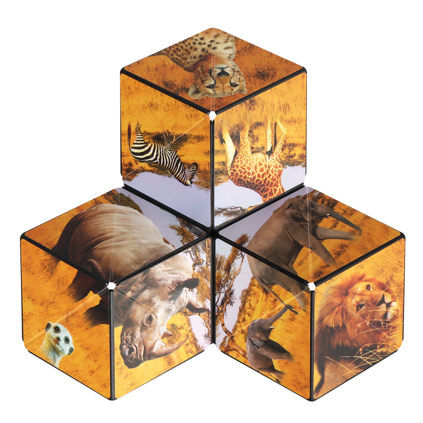 Shashibo Savanna Magnetic Puzzle Cube STEM STEAM MESH