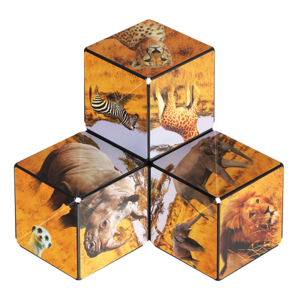 Shashibo Savanna Magnetic Puzzle Cube STEM STEAM MESH