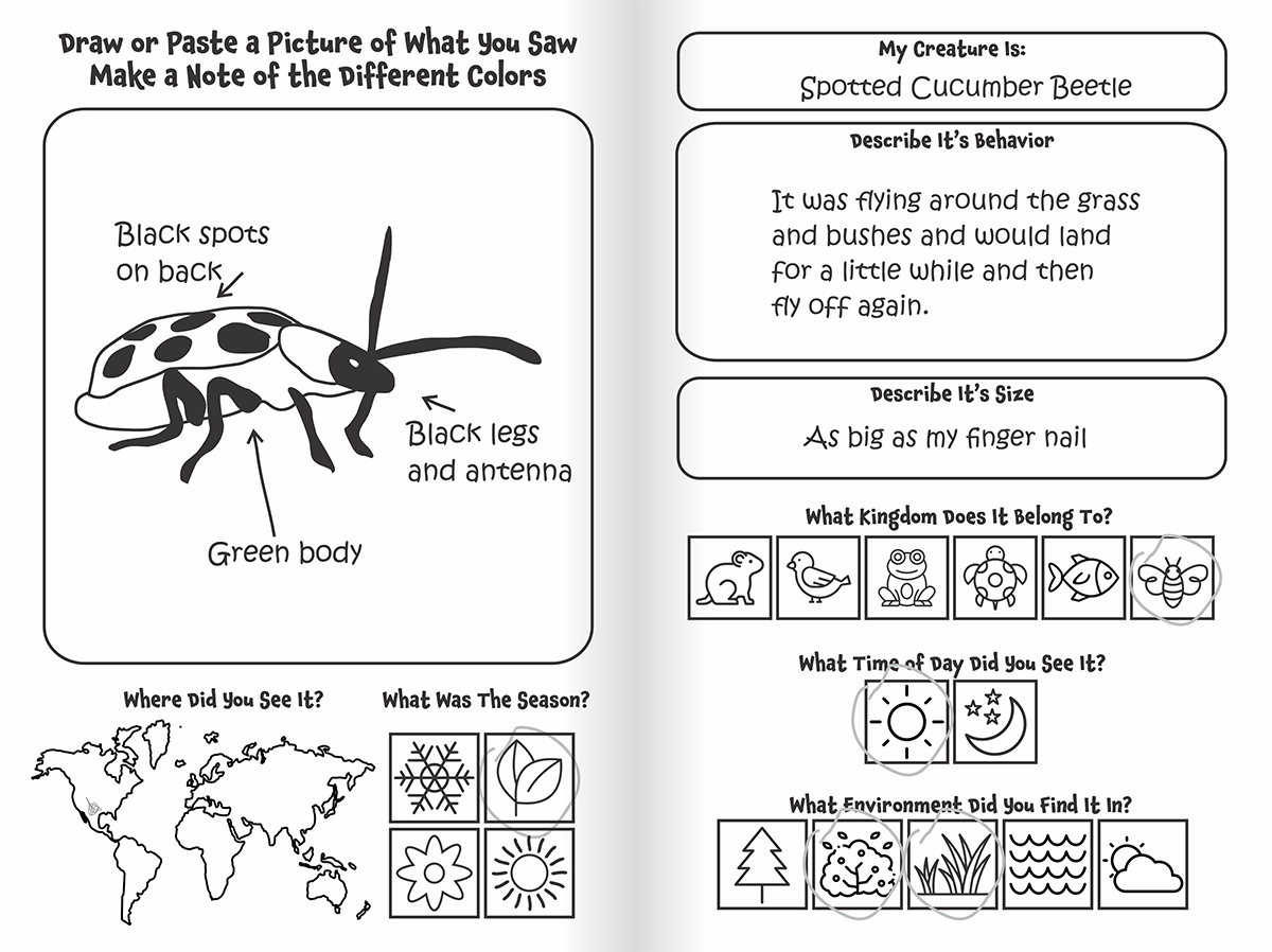 Nature Explorer Discovery Kit, Backyard Critters & Creatures