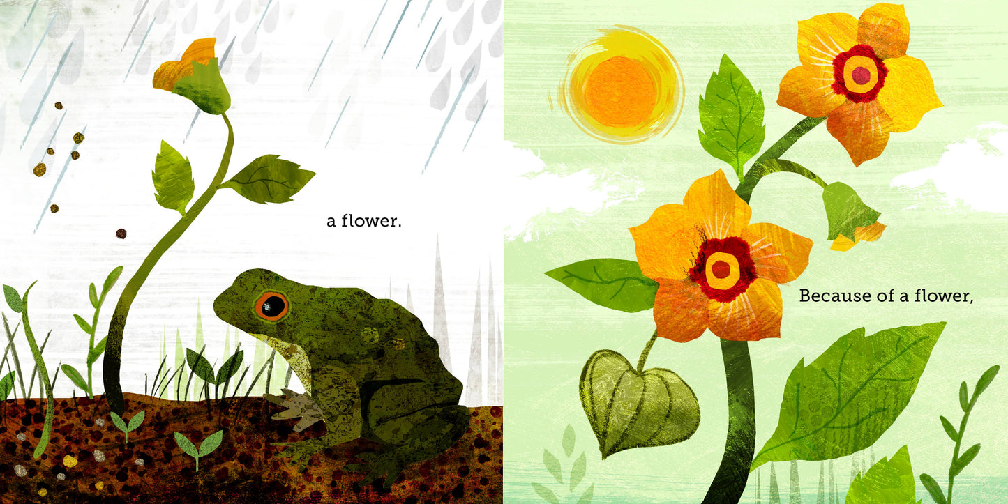 Because of an Acorn by: Lola M. Schaefer