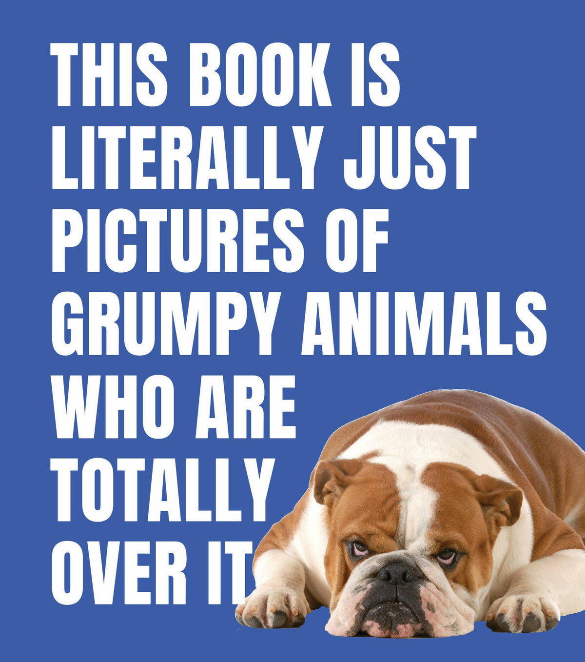 Pictures of Grumpy Animals Who Are Totally Over It