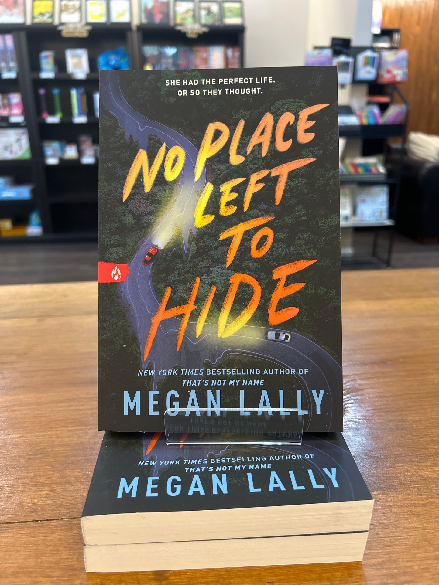 No Place Left to Hide by: Megan Lally