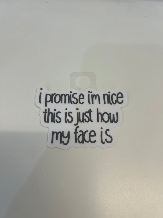 I Promise I’m Nice Sticker