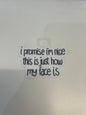 I Promise I’m Nice Sticker