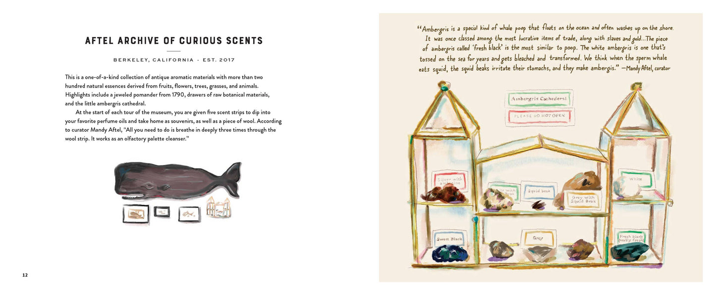 Footnotes from the Most Fascinating Museums
