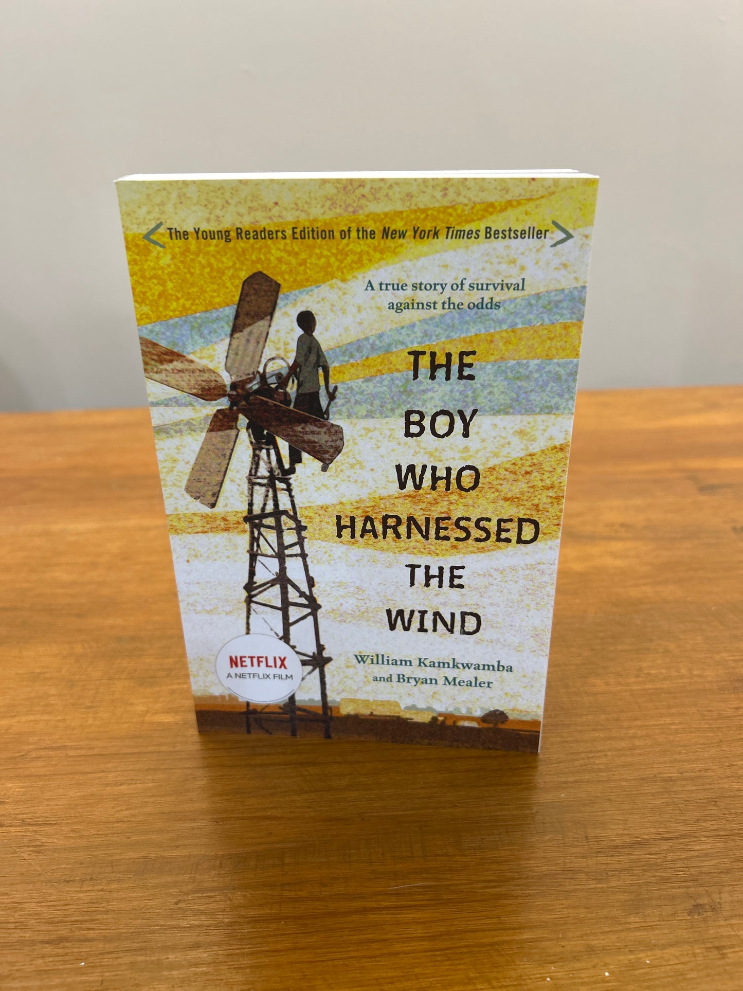 The Boy Who Harnessed the Wind