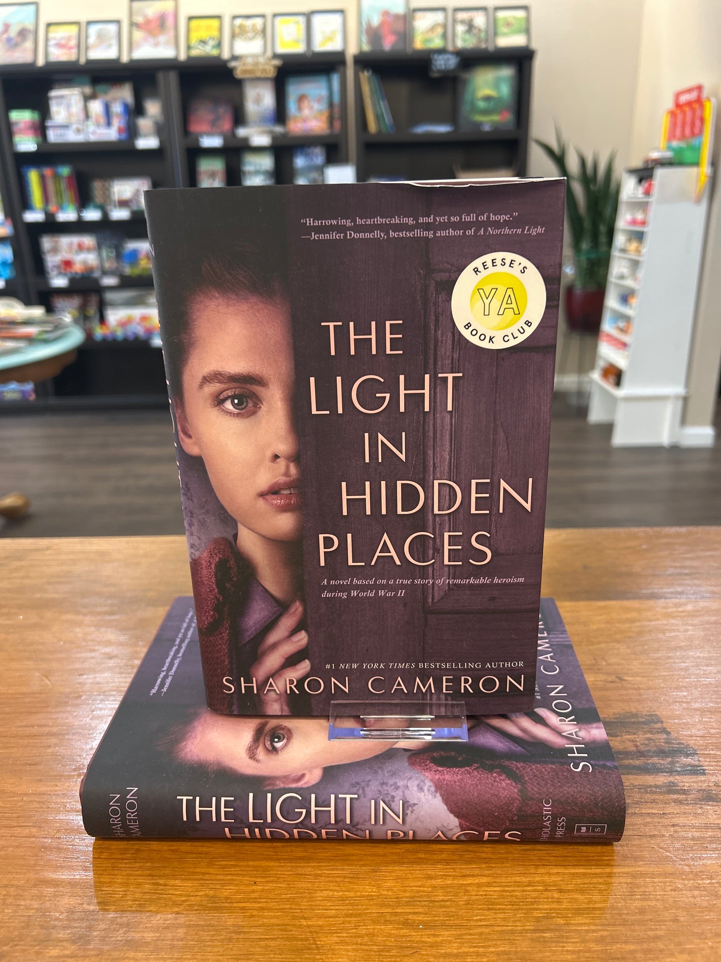 The Light in Hidden Places by: Sharon Cameron