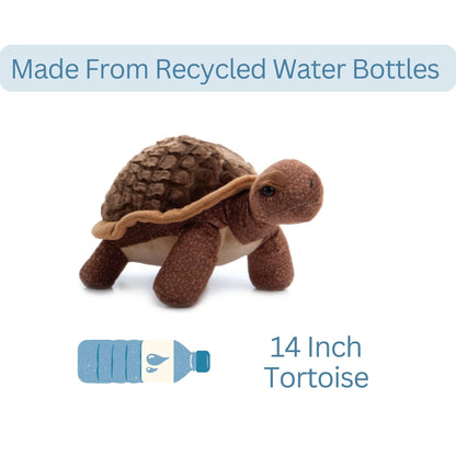 14" Wild Onez Tortoise