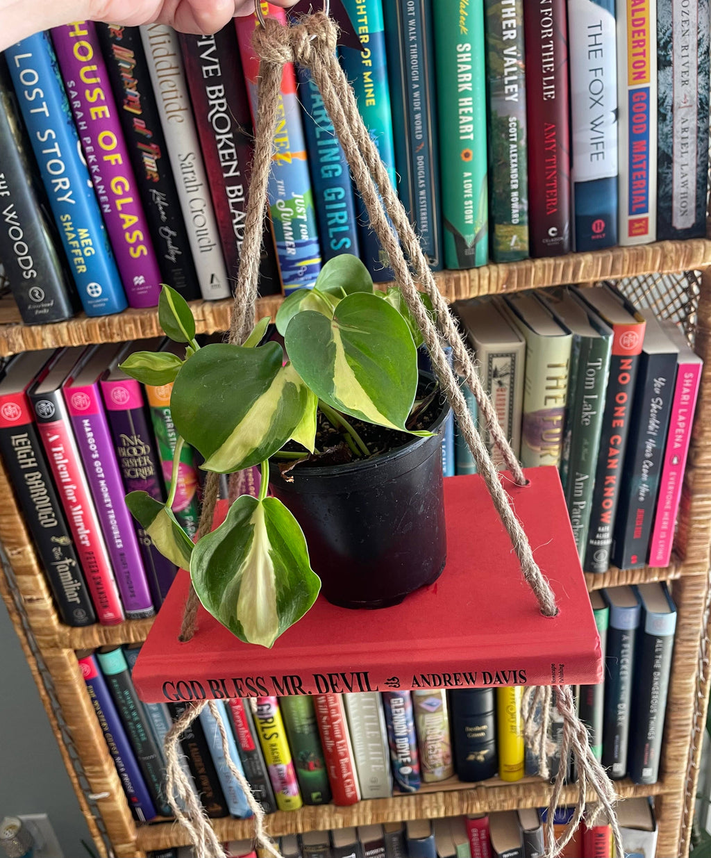 Bookish Shelf Planter