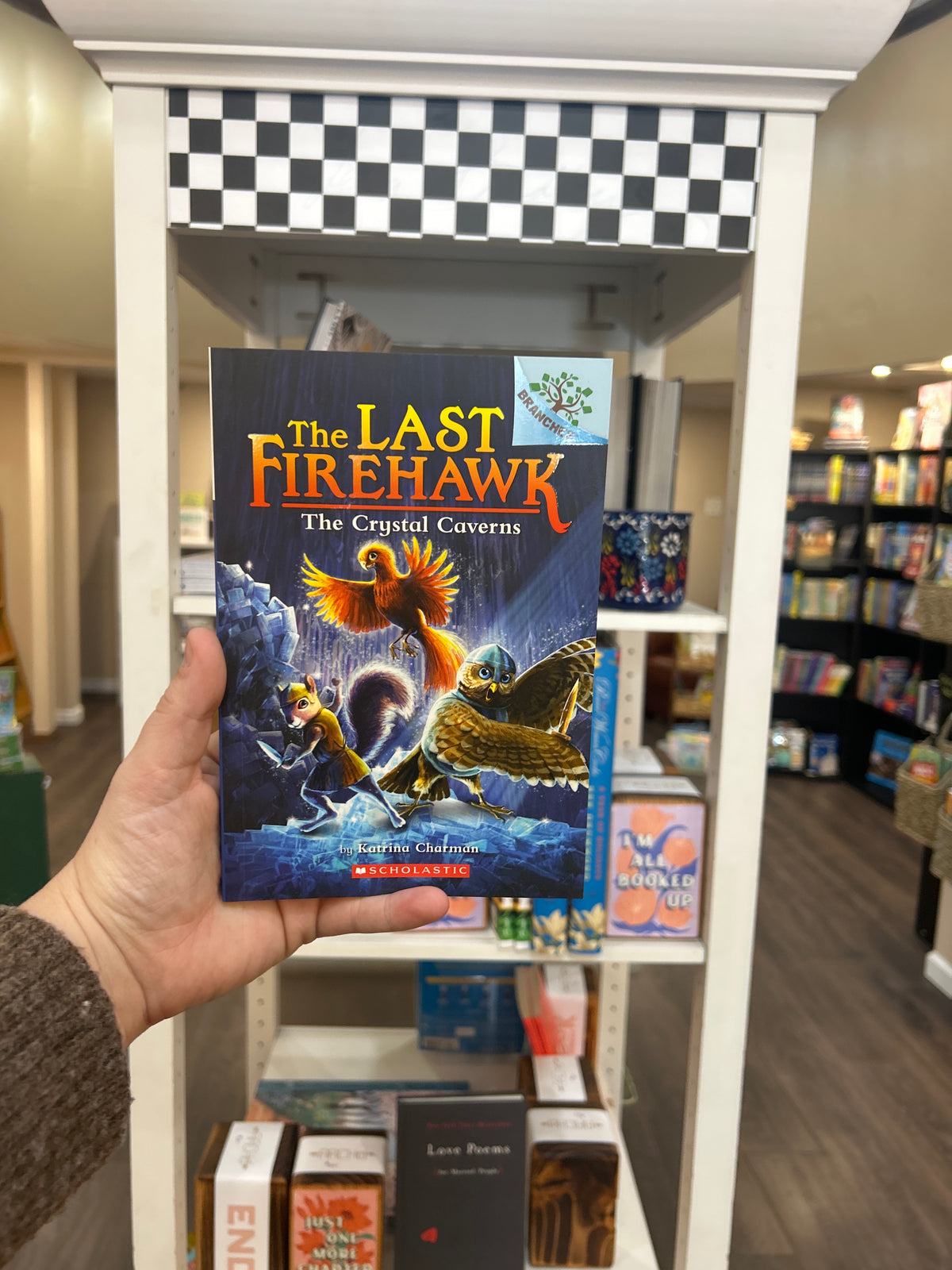 LAST FIREHAWK, THE #2: THE CRYSTAL CAVERNS