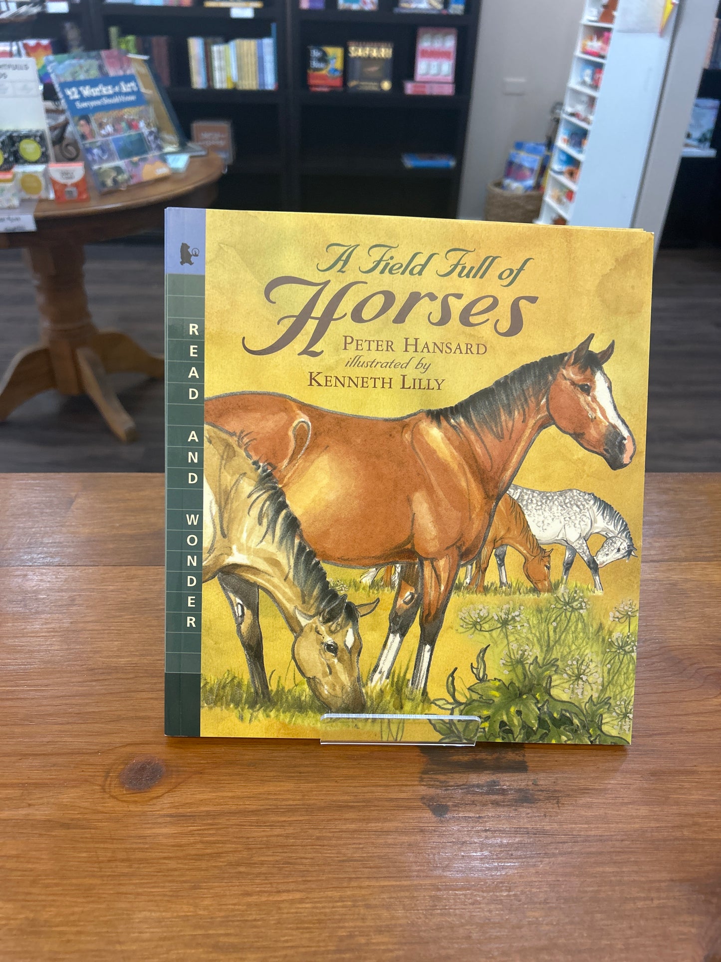 A Field Full of Horses